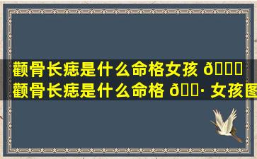 颧骨长痣是什么命格女孩 🐞 「颧骨长痣是什么命格 🌷 女孩图片」